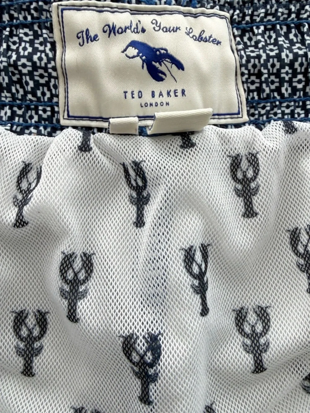 Ted Baker Mens Blue Geometric Print Swim Trunks 2XL/6 The Worlds Your Oyster